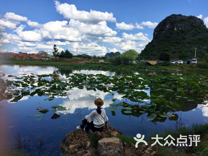 普者黑风景区-图片-丘北县周边游-大众点评网