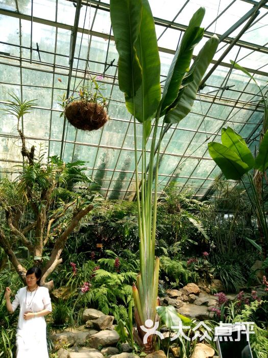 中国科学院华南植物园图片 - 第1张