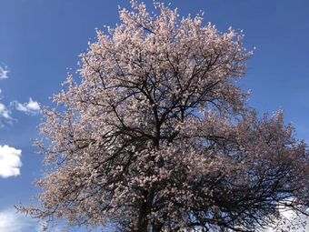 邻水婚纱_邻水实验学校(2)