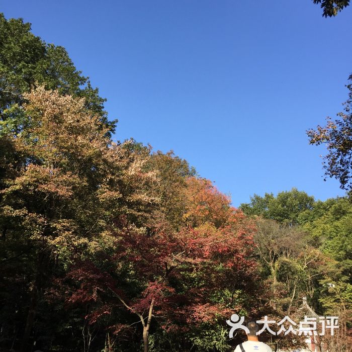 栖霞山名胜风景区