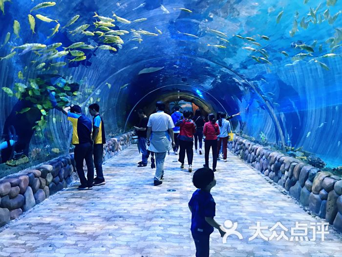 华夏文旅海洋公园-图片-西安周边游-大众点评网