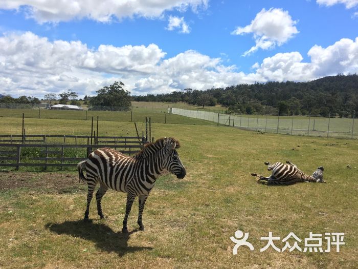 zoodoo wildlife park图片 - 第5张