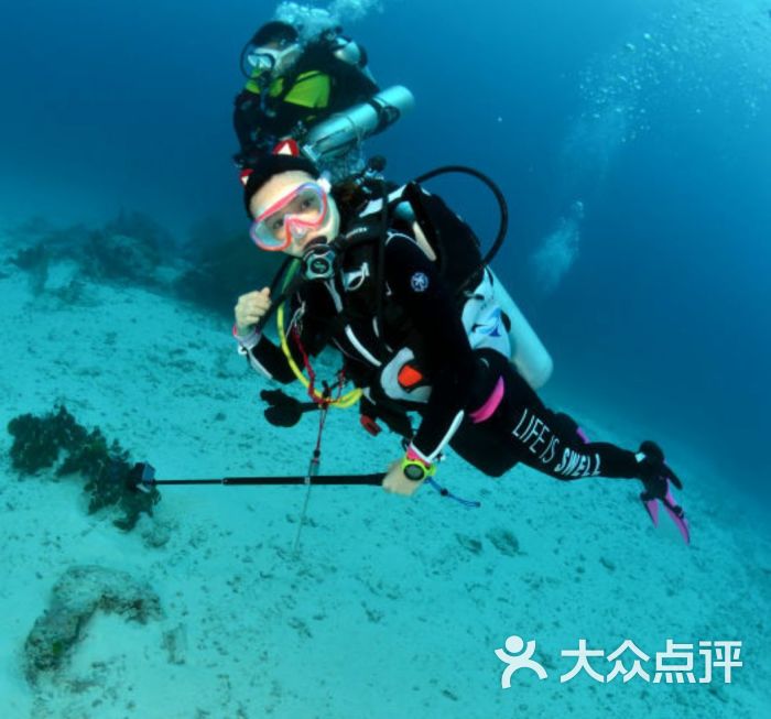漫蓝潜水俱乐部图片 - 第3张