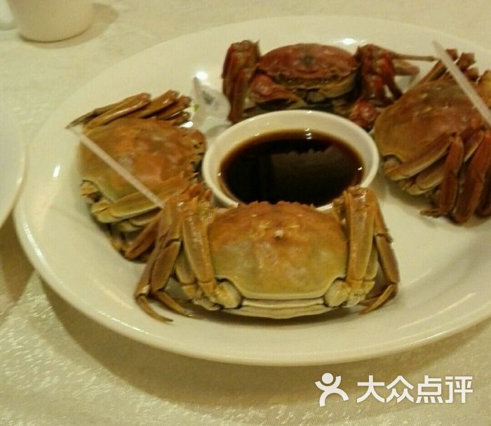 成都红高粱海鲜酒楼_红高粱图片素材_红高粱海鲜菜品(2)