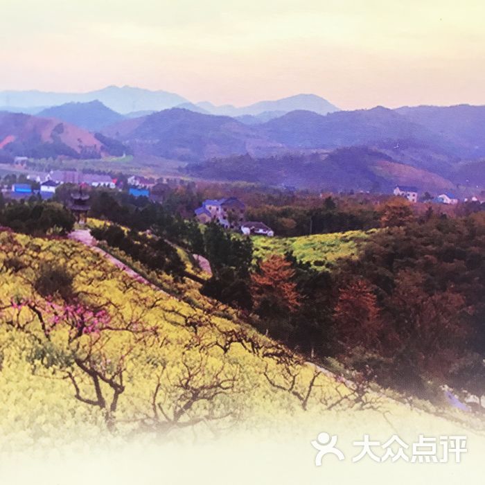 城山沟桃源山庄图片 - 第5张