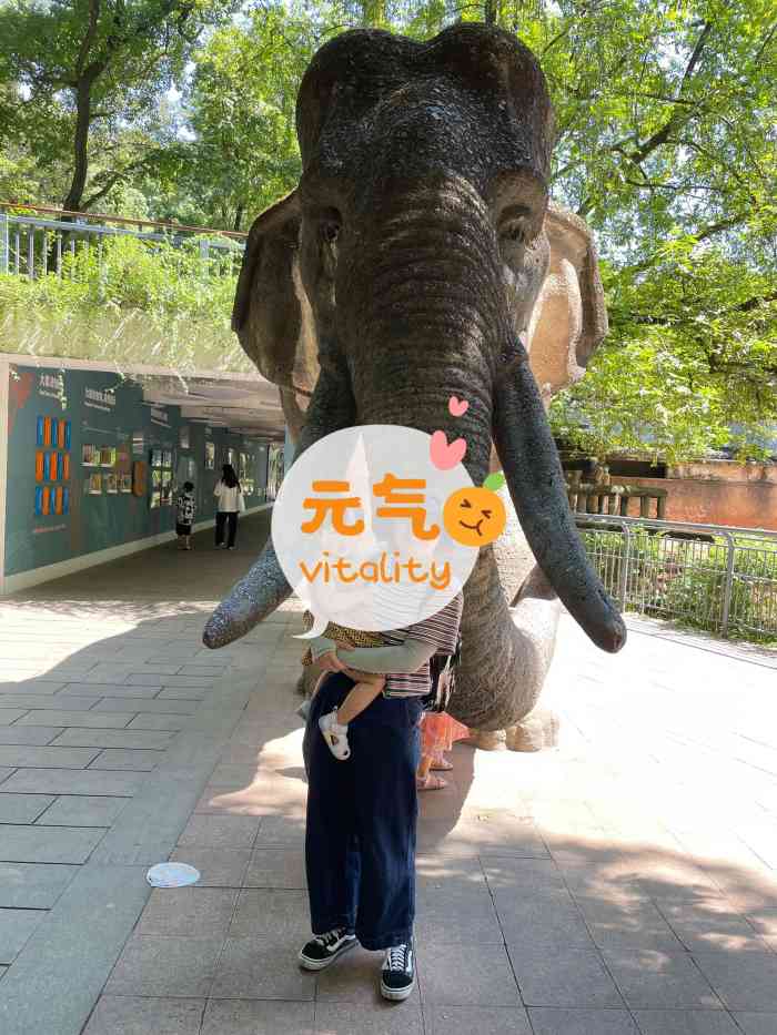 杭州动物园-"下雨天特意过来,突然想去看看小动物们,还.