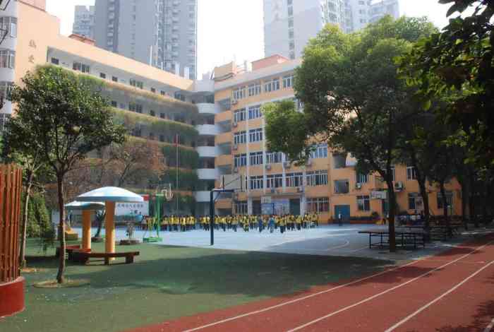 武汉市实验小学-"武汉市实验小学在江岸区球场街附近.