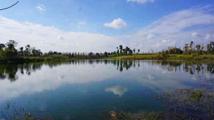 湿地·羊马新城-"羊马湿地公园,位于羊马新镇,嘉裕第六洲楼.