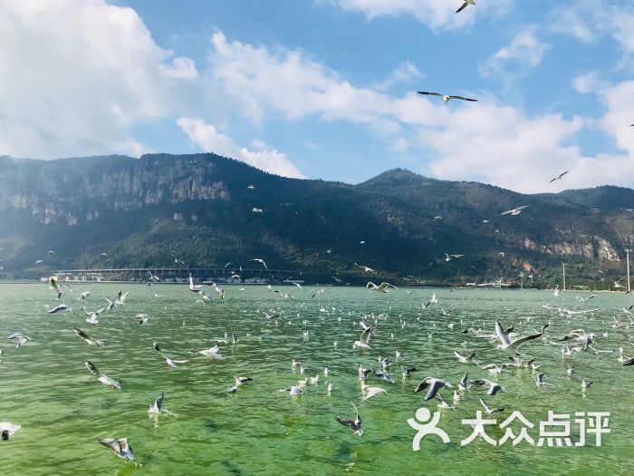 海埂公园图片 - 第6张