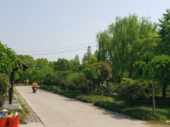 沈莉高农业生活园