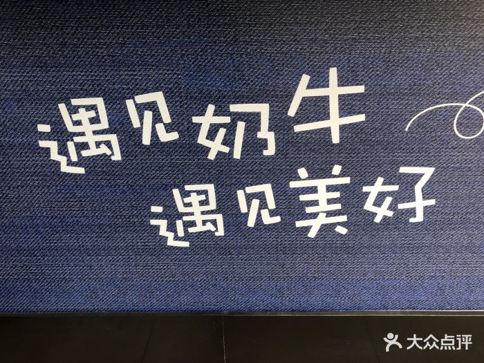 遇见奶牛·遇见美好图片