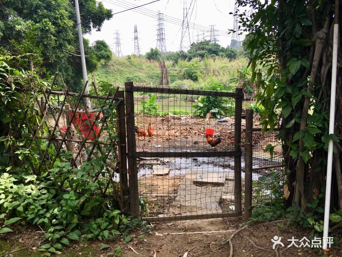 乡下农庄图片 - 第237张