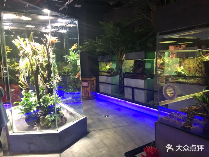 未来动物城主题公园-图片-郑州亲子-大众点评网