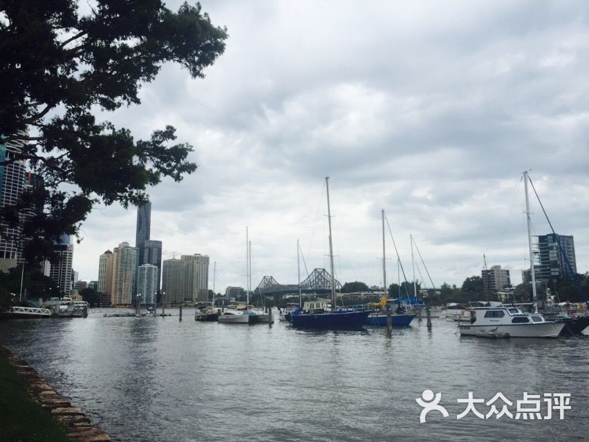 city botanic gardens-图片-布里斯班景点-大众点评网