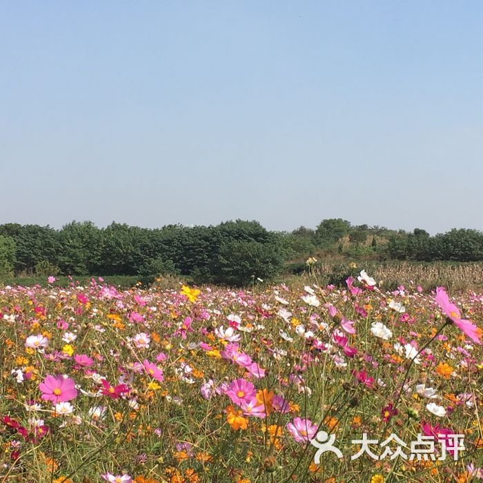 马场山景区