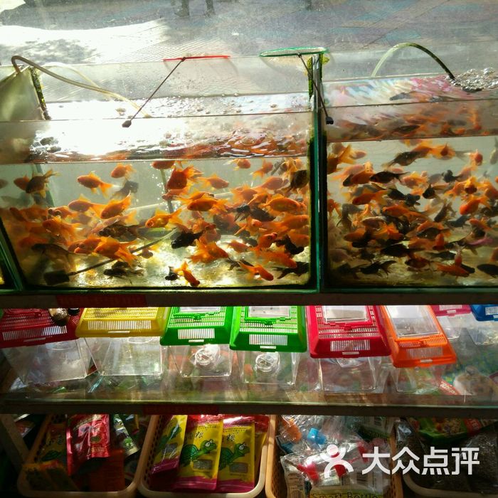 南湖水族馆图片-北京宠物店-大众点评网