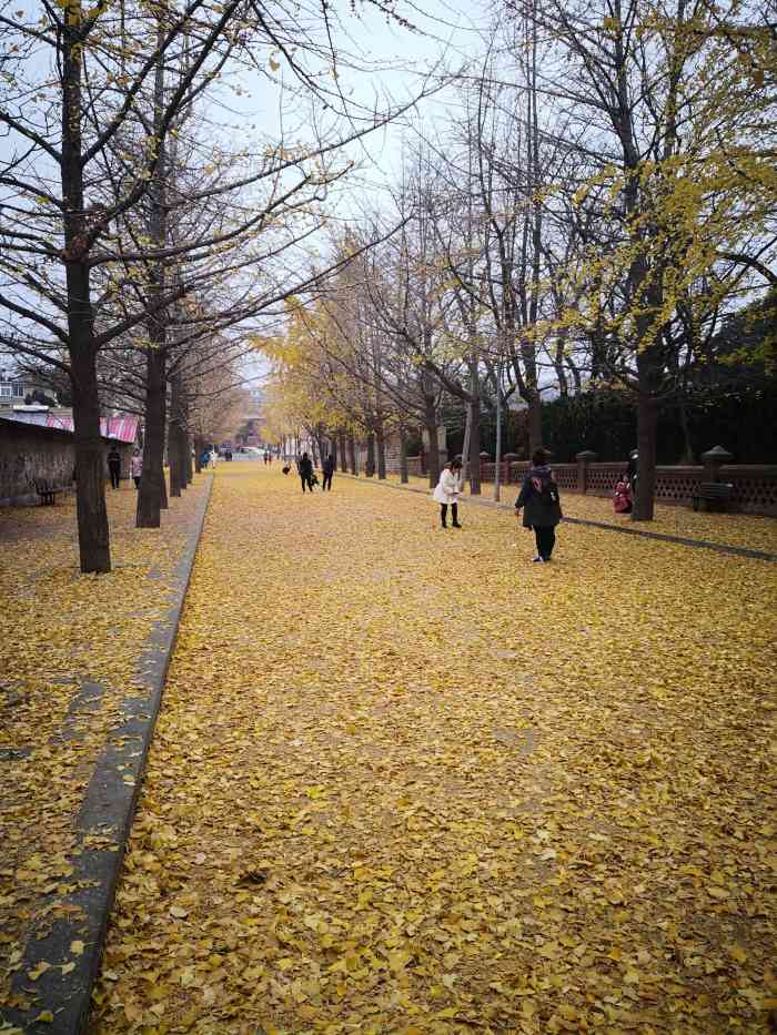 旅顺太阳沟景区-"[糖果]景点:太阳沟景区,所在地旅顺.
