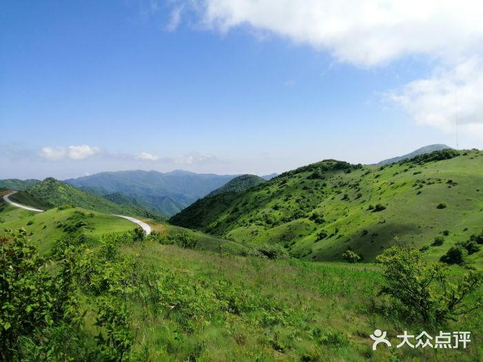 正阳大草原图片