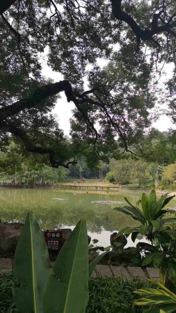 荫生植物园-"人民公园荫生植物园【位置】南宁市人民.