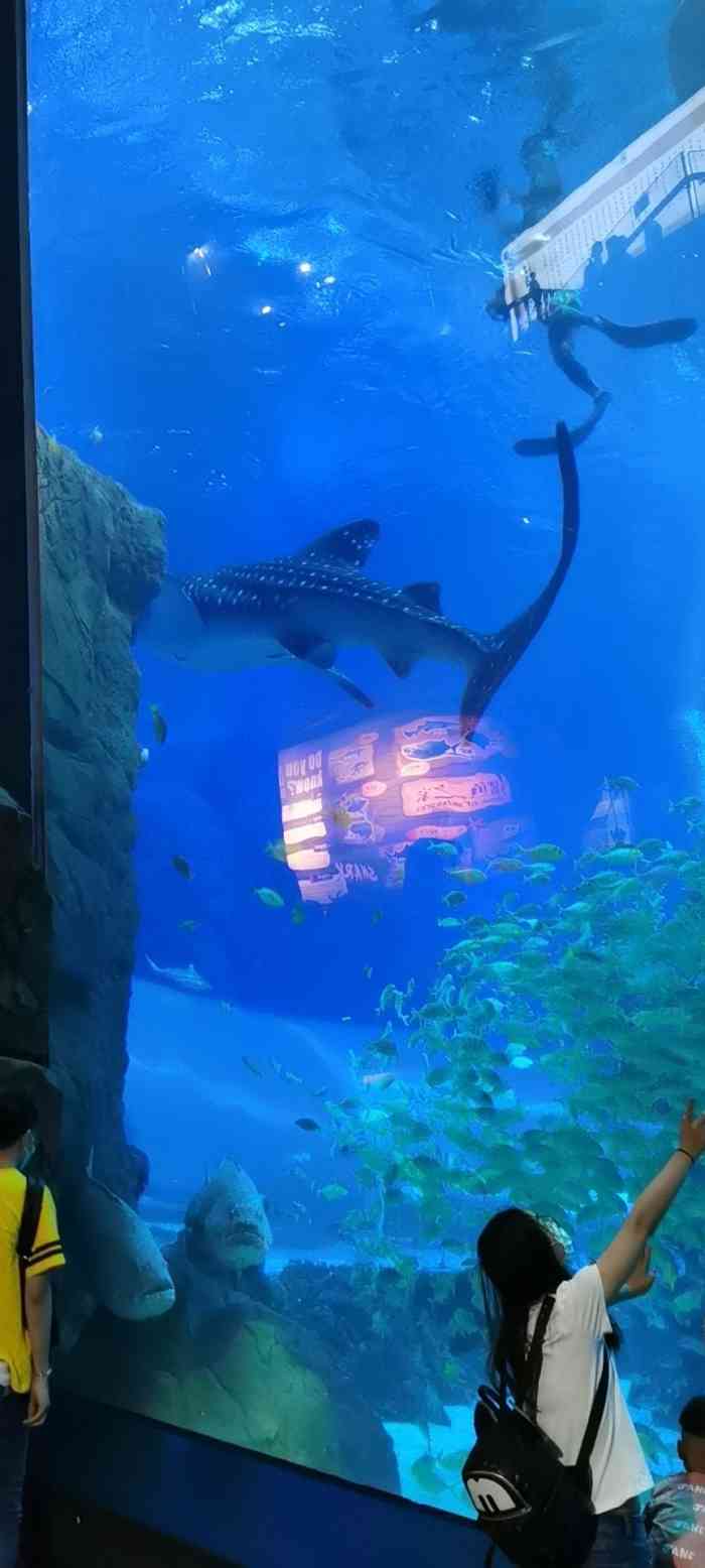 海滨城浩海立方海洋馆
