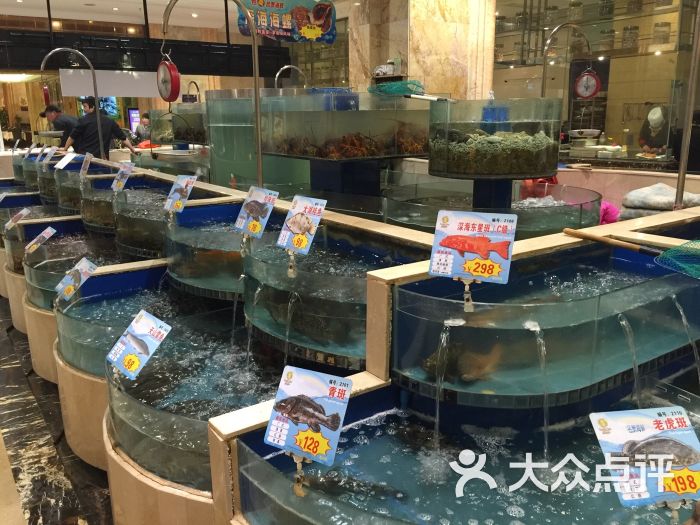 南海渔村海鲜大酒店(祥中路店)-图片-平湖市美食-大众