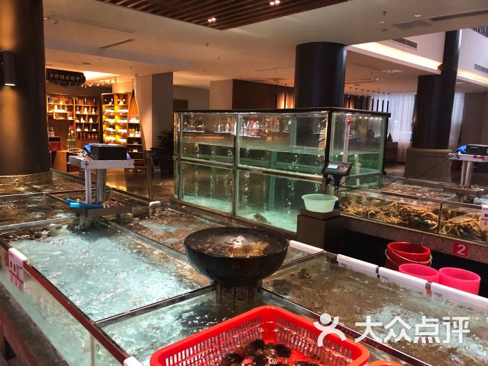 海中舟海鲜广场(浦东川沙店)图片 - 第7张