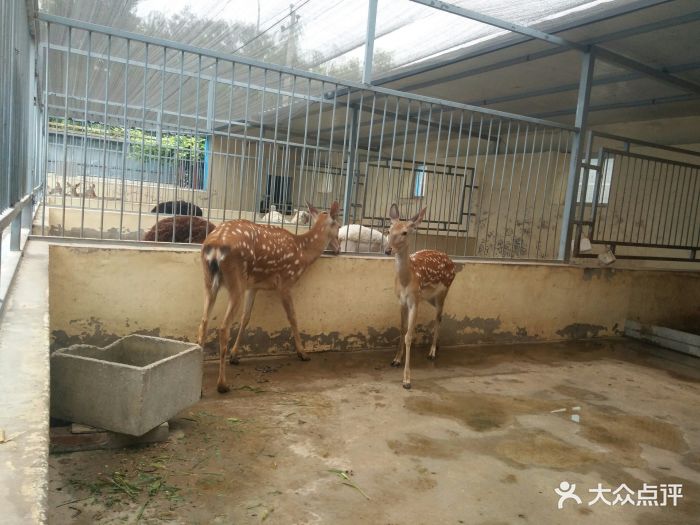 御禾动物园图片 - 第1张