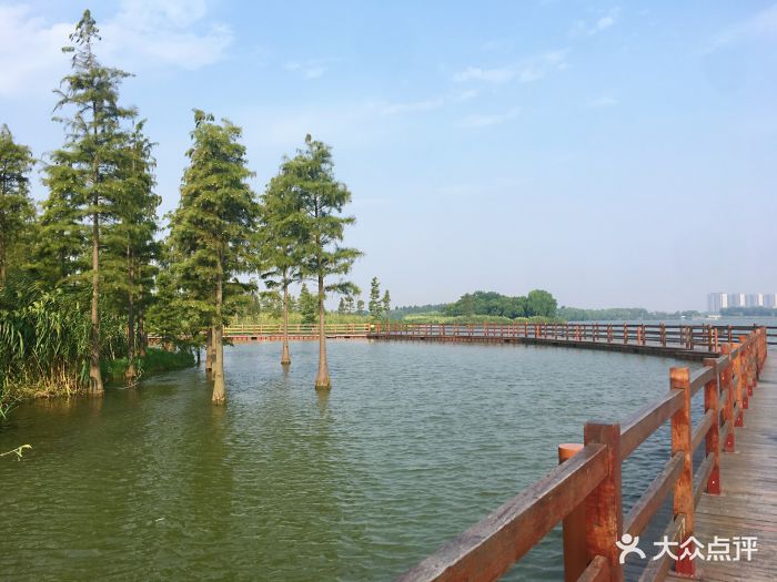 虎丘湿地公园图片 - 第81张