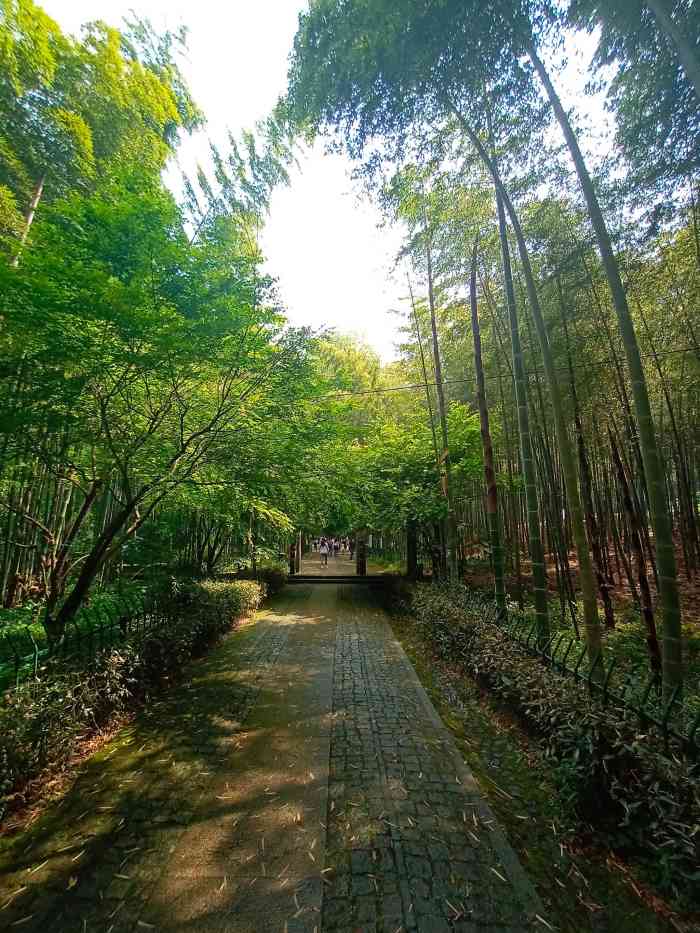 里面全是竹林,小桥流水人家的感觉