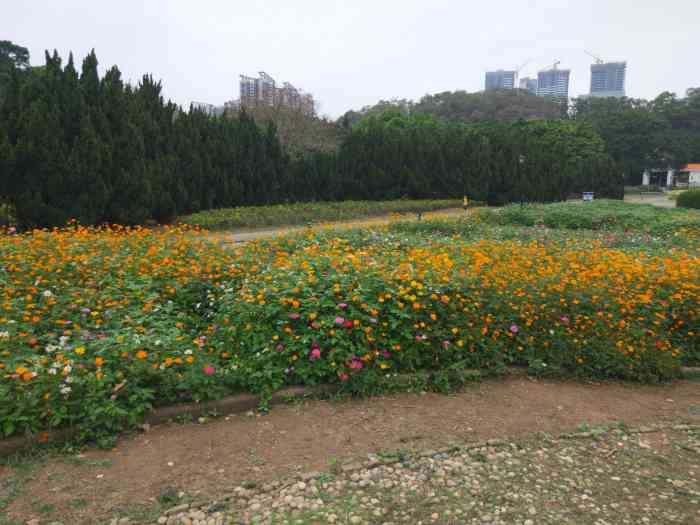 南沙蒲洲花园"逃离城市,去城市边缘的沙滩拍照公园—蒲州.