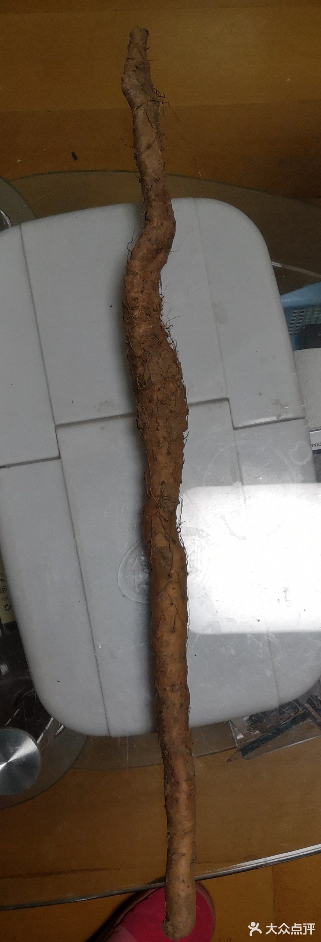 糯糯软软的.山药是一种营养丰富的根茎类植物 吃喝玩乐精选
