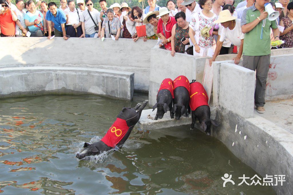 神峰山庄图片 - 第38张