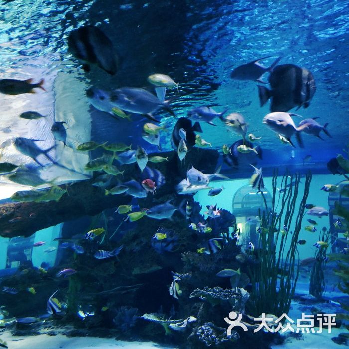 兰州极地海洋世界图片-北京海洋馆-大众点评网