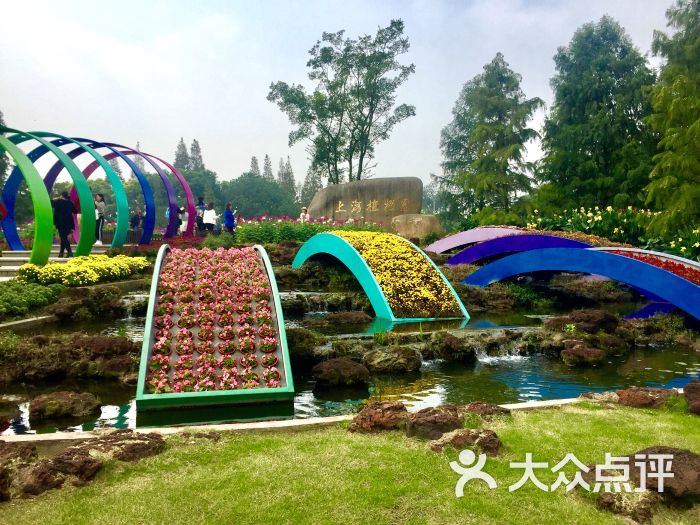 上海植物园图片 第8张