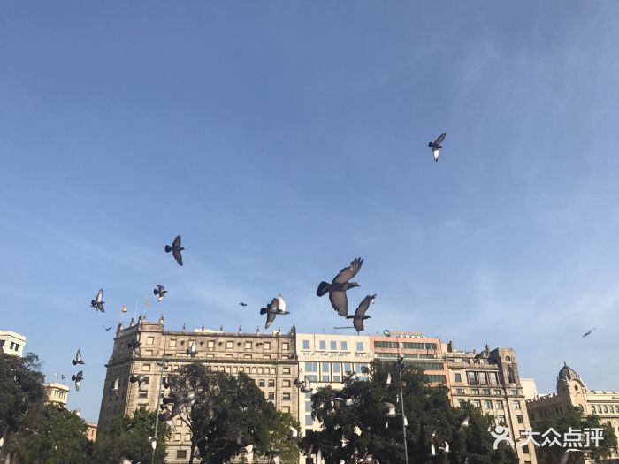 加泰罗尼亚广场是巴塞罗那市中心旧城区的一