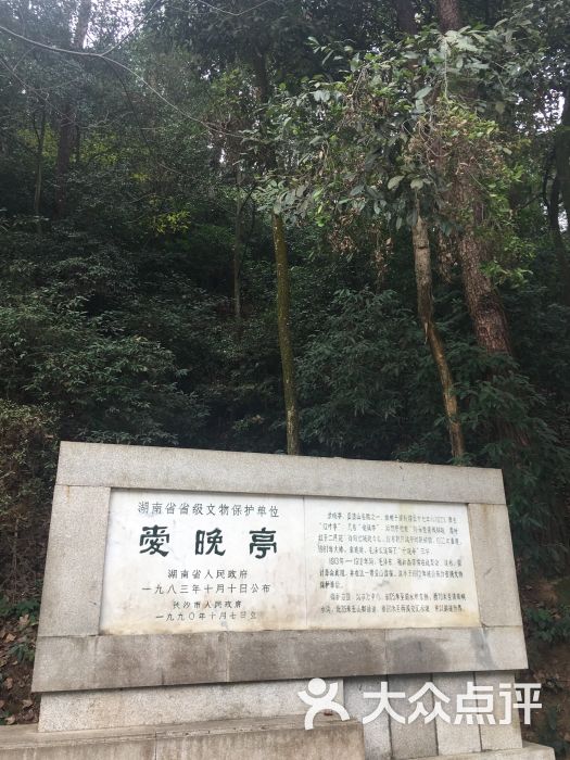 岳麓山风景区图片 第8张