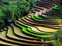  "Vietnam 10 Day Travel Itinerary: A Mesmerizing Journey Through The Heart Of Southeast Asia"