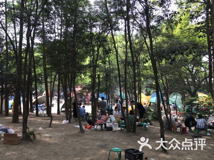 共青森林公园烧烤区-图片-上海美食-大众点评网