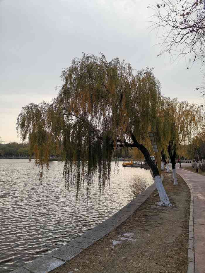 镜湖公园-"感觉营口越来越漂亮了呢 镜湖的塔真是从."-大众点评移动版