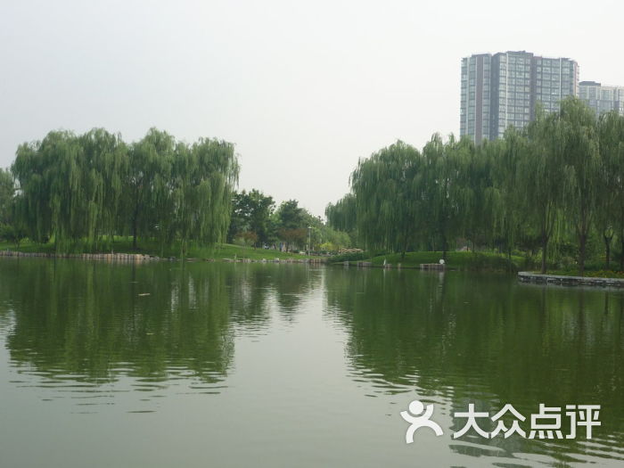望湖公园-望湖公园湖心图片-北京周边游-大众点评网