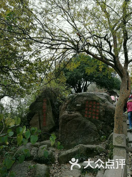 灵岩山风景区-图片-苏州周边游-大众点评网