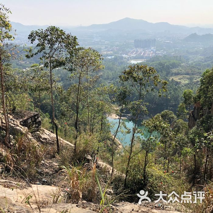 龙眼洞森林公园