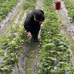 北马山庄植趣咖啡