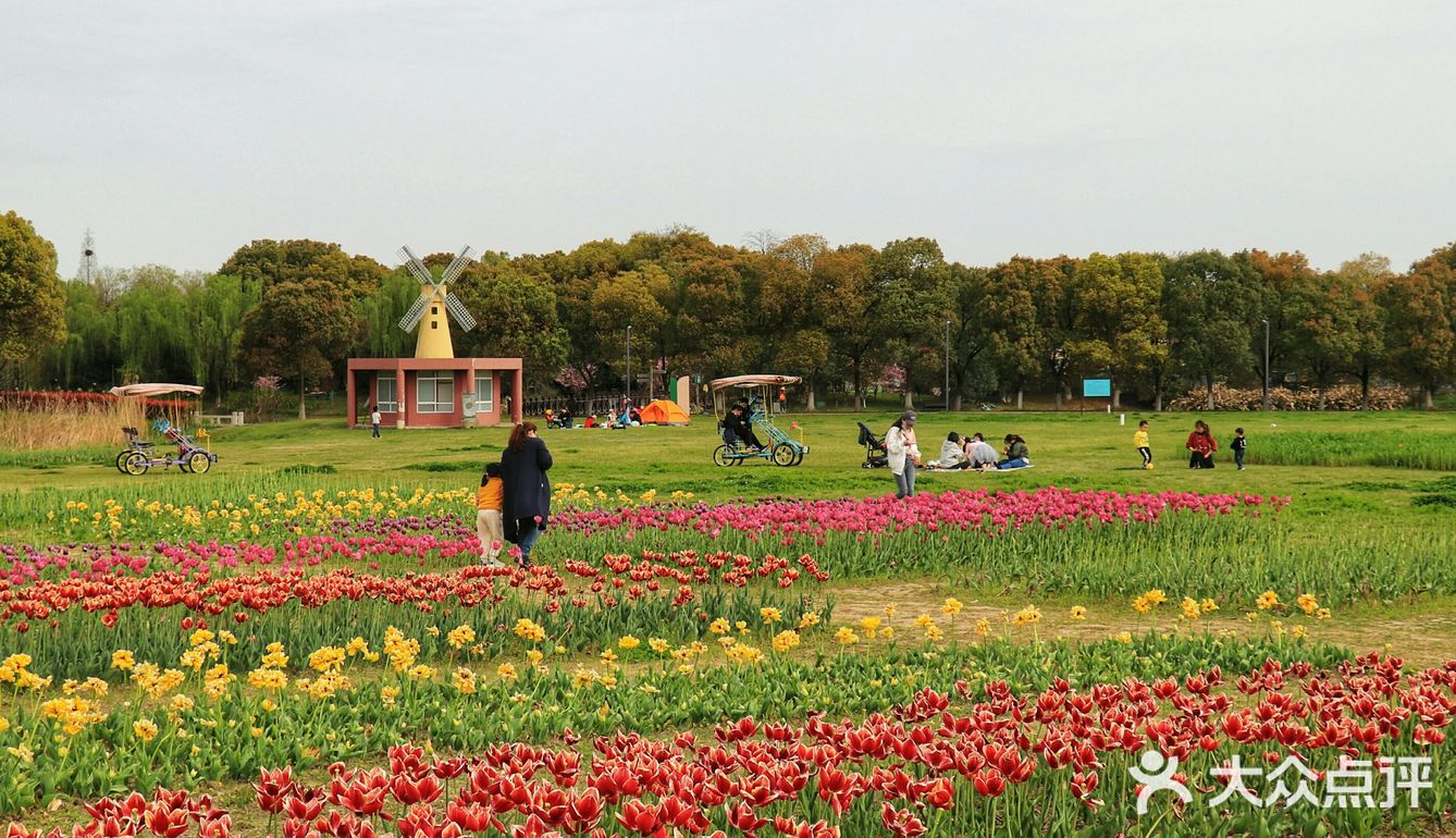苏州中国花卉植物园位于相城区太阳路北广济北路西侧