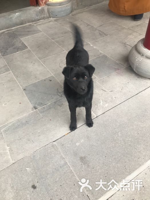 双湖公园:作为一个建湖人还是为建湖感到很.建