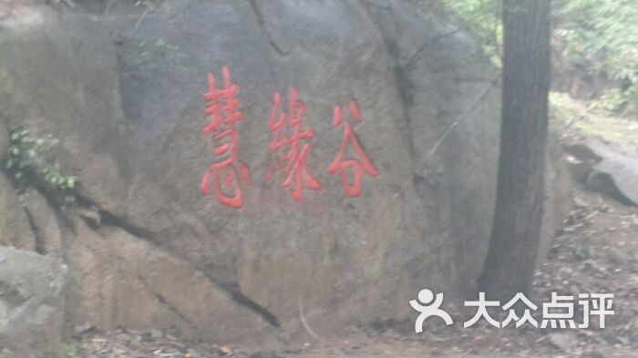 红螺慧缘谷生态景区图片 第435张
