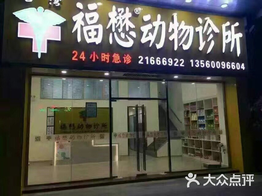 福懋动物医院(东莞莞城店)图片 - 第4张