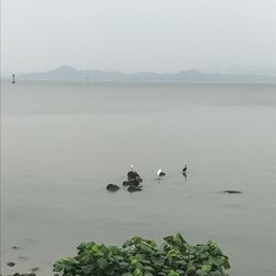 红树林海滨公园