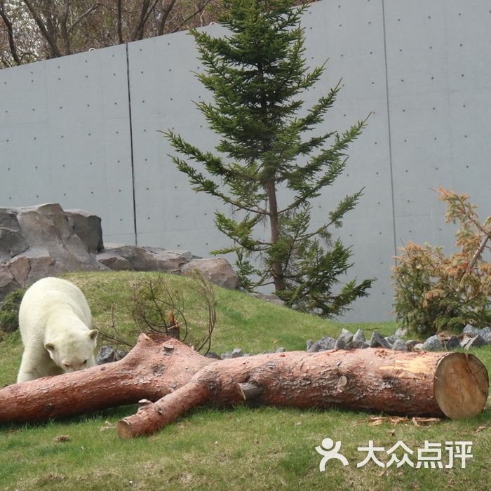 札幌市圆山动物园