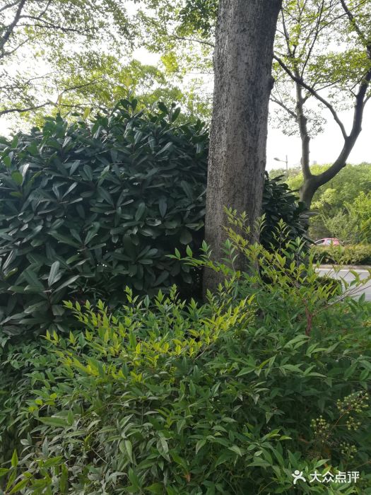 上海国际旅行卫生保健中心(浦东分中心)